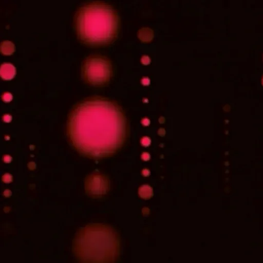 illustration motion design 1